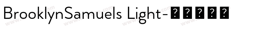 BrooklynSamuels Light字体转换